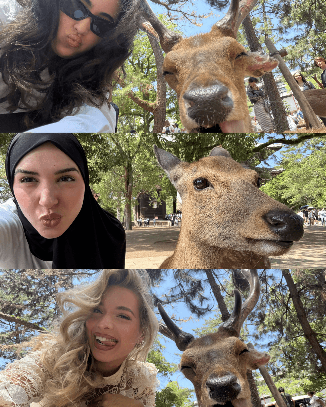Traveling with us looks like: